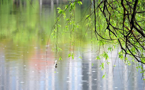 雨中的精密铸造 —— 苏博卡捷新材料在雨季的应用实践